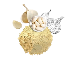Fokhagyma kivonat - Helmixin hatékony összetevő